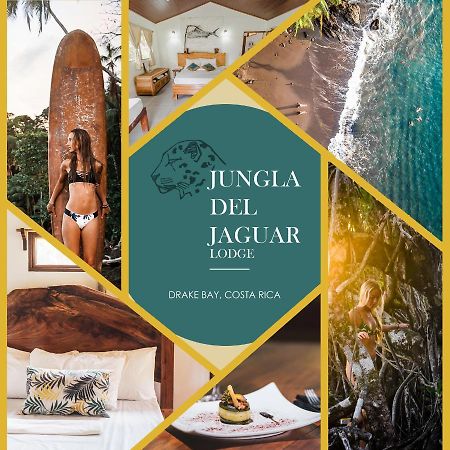 The Jaguars Jungle Rainforest Lodge - All Meals Included (Adults Only) San Pedrillo Exterior foto