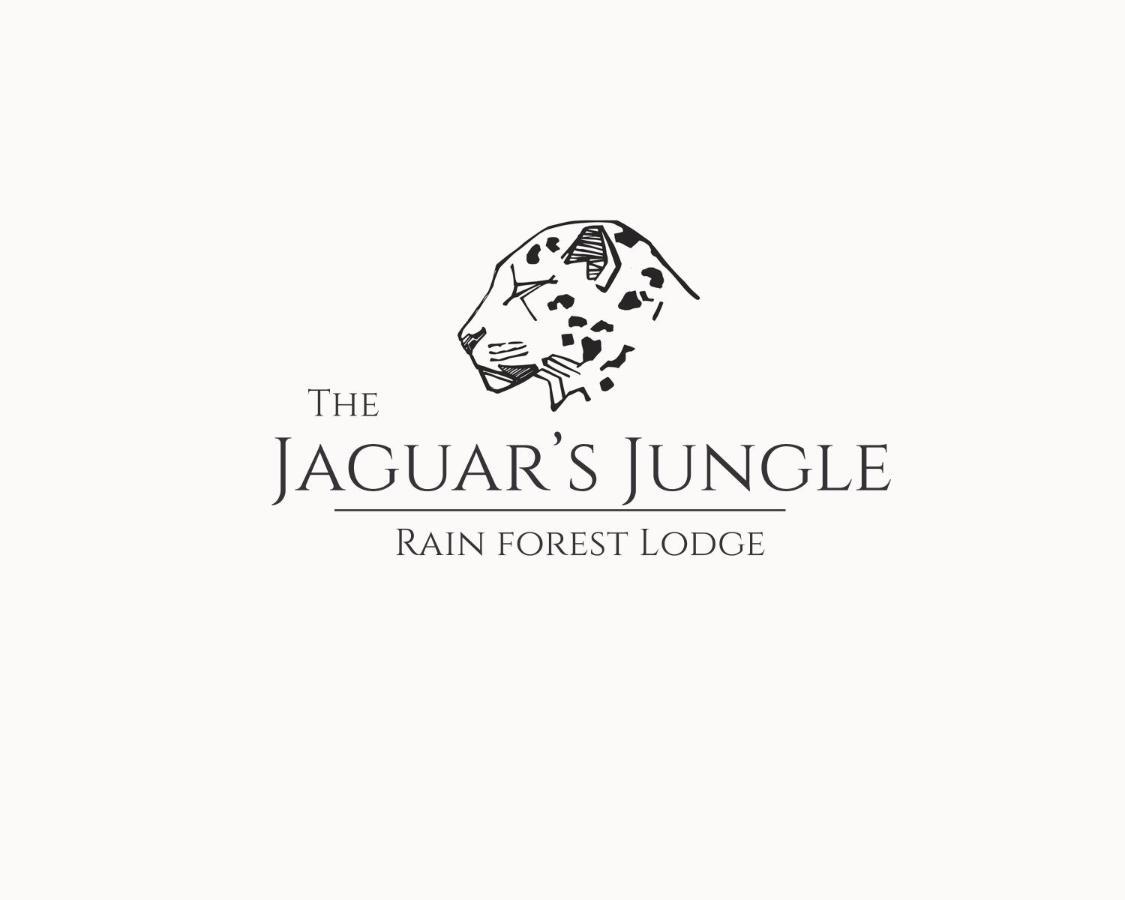 The Jaguars Jungle Rainforest Lodge - All Meals Included (Adults Only) San Pedrillo Exterior foto